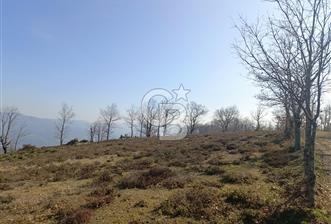 ÇANAKKALE BİGA'DA 13.000 m2 MARJİNAL ARAZİ - 1 - 339889