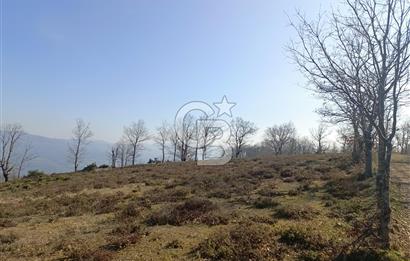 ÇANAKKALE BİGA'DA 13.000 m2 MARJİNAL ARAZİ