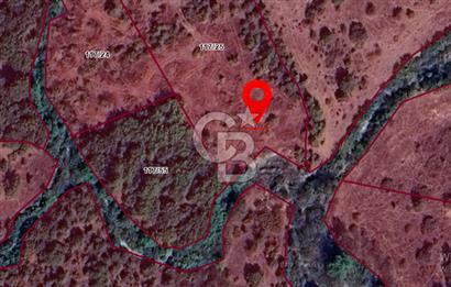 ÇANAKKALE DEMİRCİ KÖYÜNDE SATILIK KAZ DAĞLARINDA 5018M2 TARLA