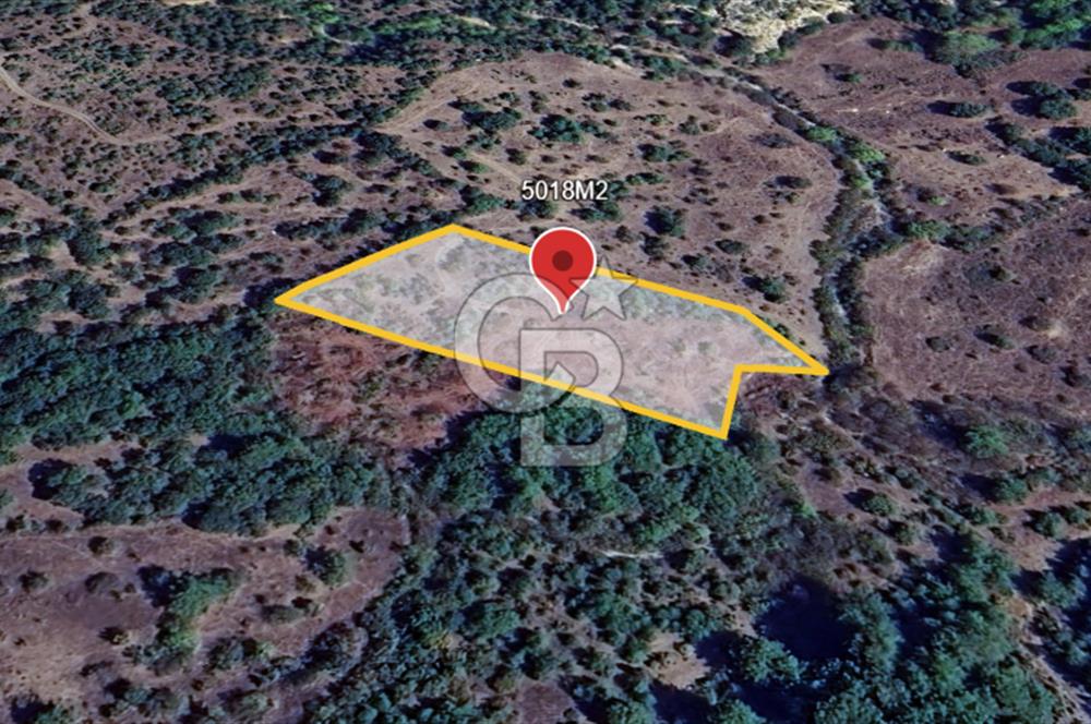 ÇANAKKALE DEMİRCİ KÖYÜNDE SATILIK KAZ DAĞLARINDA 5018M2 TARLA