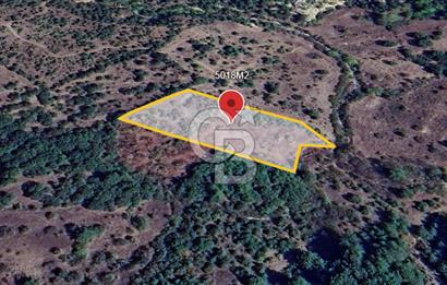 ÇANAKKALE DEMİRCİ KÖYÜNDE SATILIK KAZ DAĞLARINDA 5018M2 TARLA