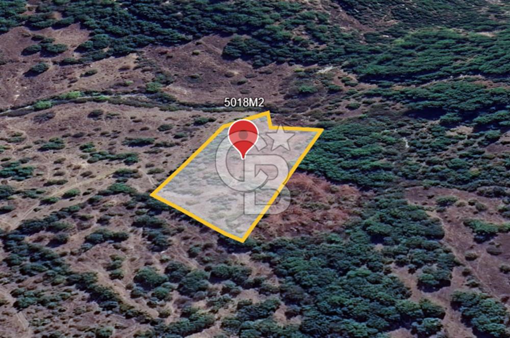 ÇANAKKALE DEMİRCİ KÖYÜNDE SATILIK KAZ DAĞLARINDA 5018M2 TARLA