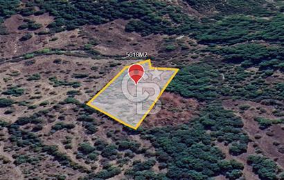 ÇANAKKALE DEMİRCİ KÖYÜNDE SATILIK KAZ DAĞLARINDA 5018M2 TARLA