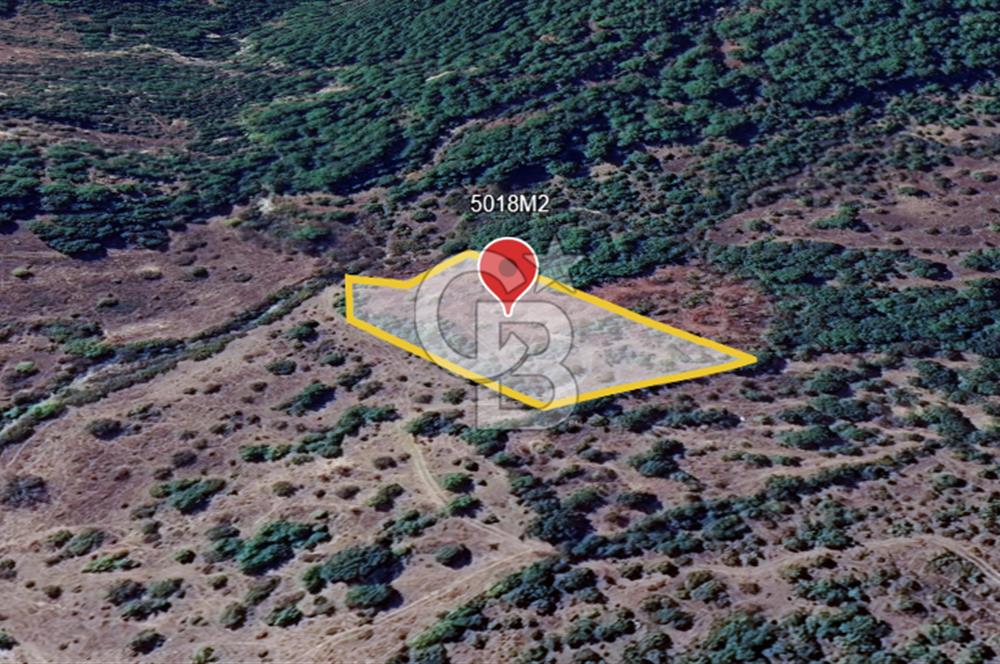 ÇANAKKALE DEMİRCİ KÖYÜNDE SATILIK KAZ DAĞLARINDA 5018M2 TARLA