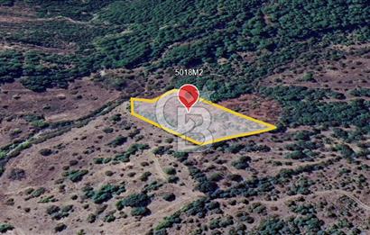 ÇANAKKALE DEMİRCİ KÖYÜNDE SATILIK KAZ DAĞLARINDA 5018M2 TARLA