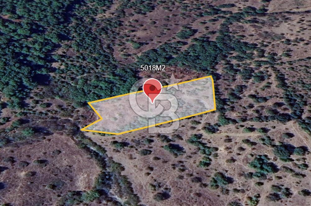 ÇANAKKALE DEMİRCİ KÖYÜNDE SATILIK KAZ DAĞLARINDA 5018M2 TARLA
