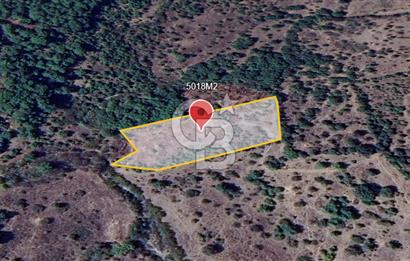 ÇANAKKALE DEMİRCİ KÖYÜNDE SATILIK KAZ DAĞLARINDA 5018M2 TARLA