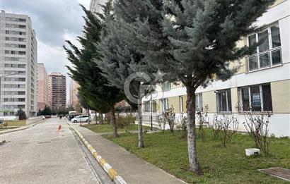 DİRİLİŞ MAHALLESİ GÜLSEREN TOKİ 3.ETAPTA 2+1 KİRALIK DAİRE