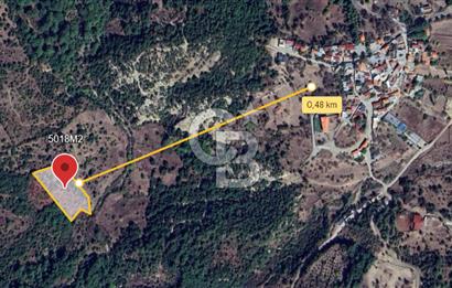 ÇANAKKALE DEMİRCİ KÖYÜNDE SATILIK KAZ DAĞLARINDA 5018M2 TARLA