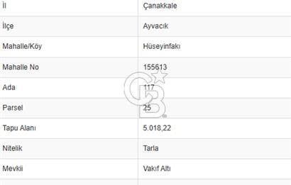 ÇANAKKALE DEMİRCİ KÖYÜNDE SATILIK KAZ DAĞLARINDA 5018M2 TARLA