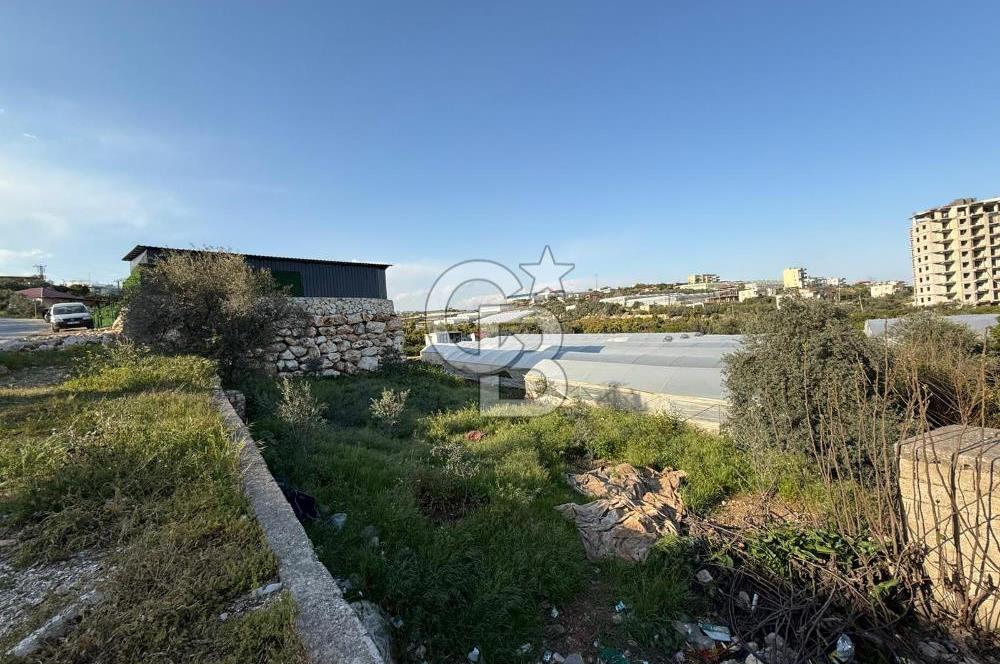 ERDEMLİ KOCAHASANLI SATILIK ARSA