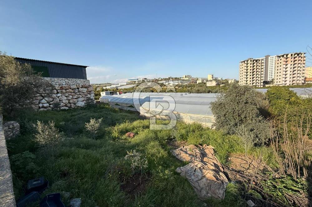 ERDEMLİ KOCAHASANLI SATILIK ARSA