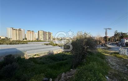 ERDEMLİ KOCAHASANLI SATILIK ARSA