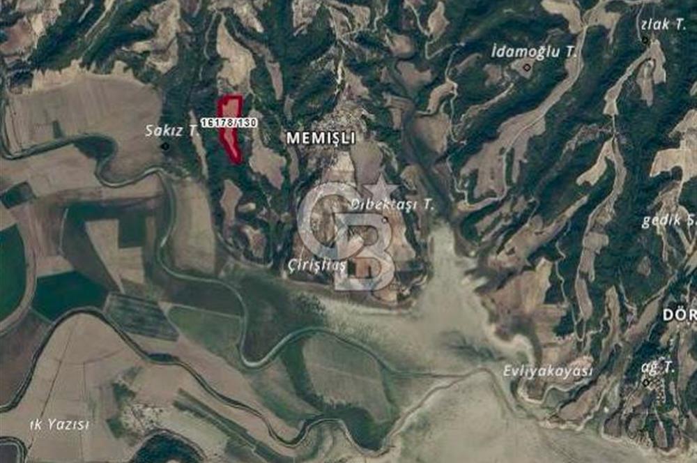 Adana Çukurova'da 33.488m² Doğayla İç İçe Yatırımlık Arsa