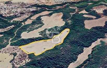 Adana Çukurova'da 33.488m² Doğayla İç İçe Yatırımlık Arsa
