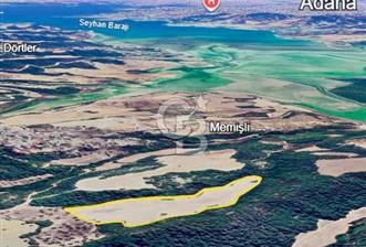 Adana Çukurova'da 33.488m² Doğayla İç İçe Yatırımlık Arsa - 3 - 339981