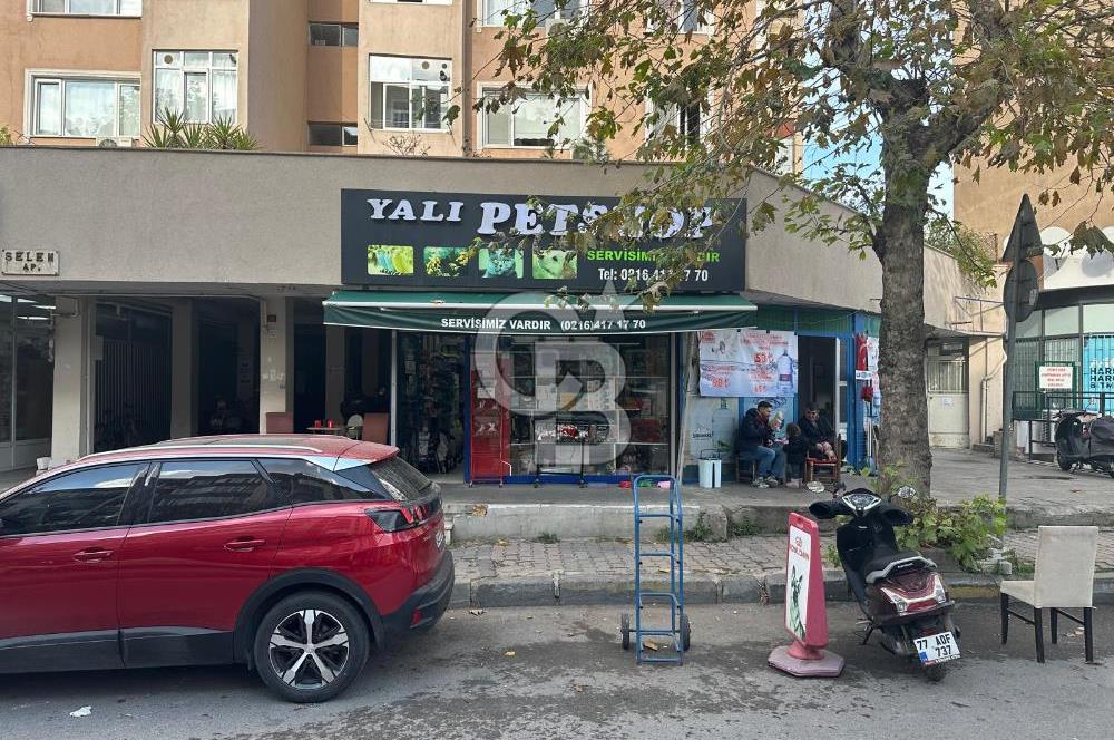 Cadde Üzeri, Kiracılı & Yüksek Arsa Paylı Satılık Dükkan!