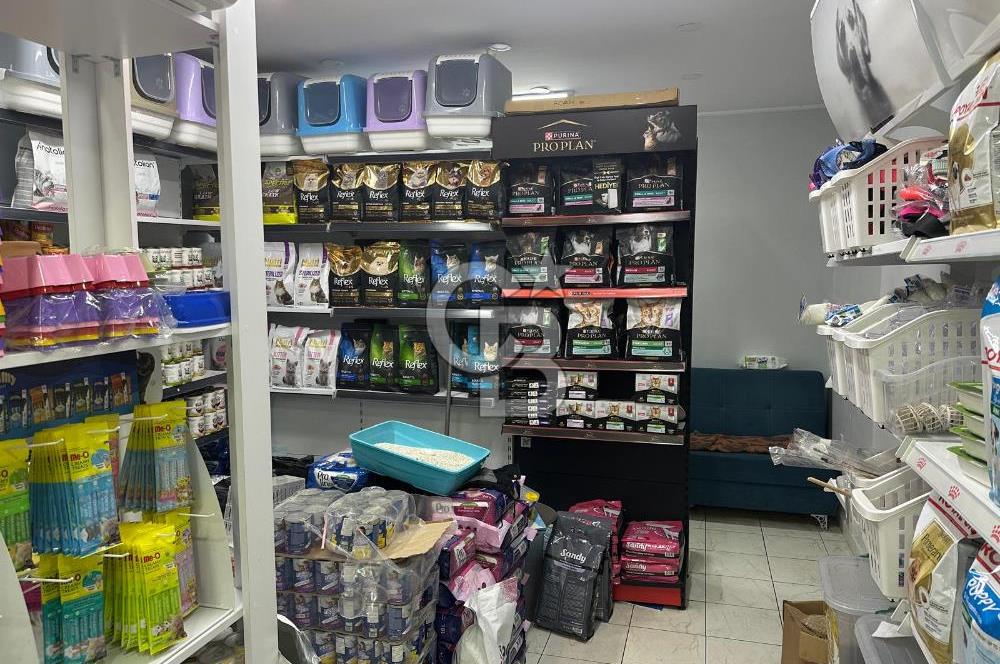 Cadde Üzeri, Kiracılı & Yüksek Arsa Paylı Satılık Dükkan!