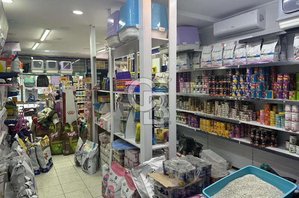 Cadde Üzeri, Kiracılı & Yüksek Arsa Paylı Satılık Dükkan!