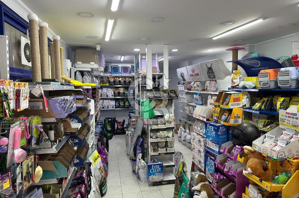 Cadde Üzeri, Kiracılı & Yüksek Arsa Paylı Satılık Dükkan!