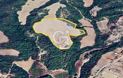 Adana Çukurova'da 43.895m² Göl Manzaralı Yatırımlık Arsa