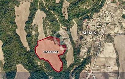 Adana Çukurova'da 43.895m² Göl Manzaralı Yatırımlık Arsa