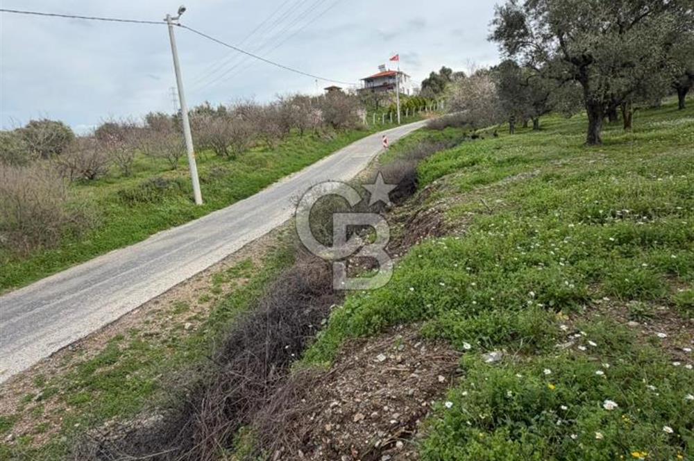 Dalbahçe Yolunda Satılık Arazi