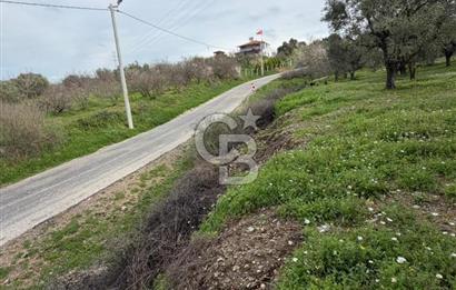 Dalbahçe Yolunda Satılık Arazi