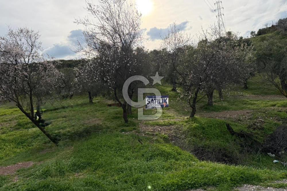 Dalbahçe Yolunda Satılık Arazi