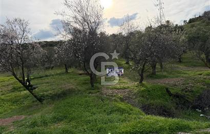 Dalbahçe Yolunda Satılık Arazi