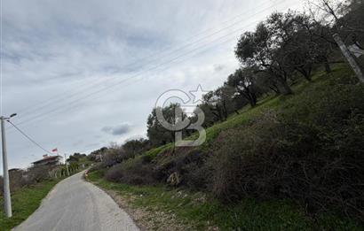 Dalbahçe Yolunda Satılık Arazi