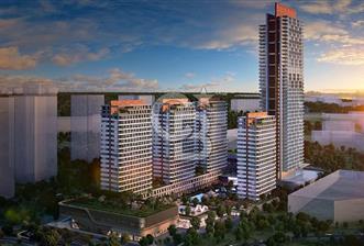 babacan premium - 1 - 339888