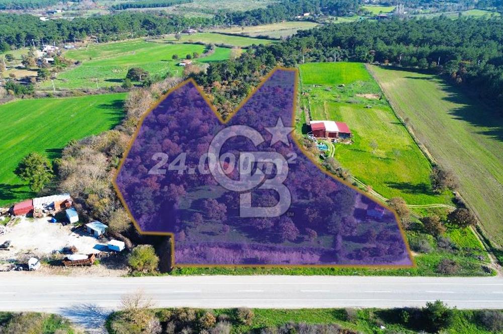 AYVACIK SÖĞÜTLÜ ANAYOLA CEPHE SATILIK 24 DÖNÜM TARLA