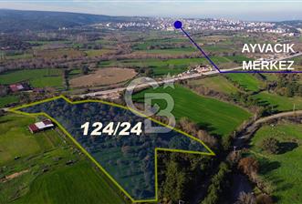 AYVACIK SÖĞÜTLÜ ANAYOLA CEPHE SATILIK 24 DÖNÜM TARLA - 4 - 340072