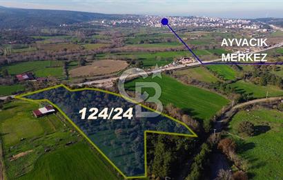 AYVACIK SÖĞÜTLÜ ANAYOLA CEPHE SATILIK 24 DÖNÜM TARLA