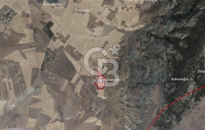 CB Vizyon Tevfik Baştürkten Beynam Mh. Satılık Kök Tapulu Tarla