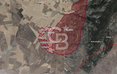 CB Vizyon Tevfik Baştürkten Beynam Mh. Satılık Kök Tapulu Tarla