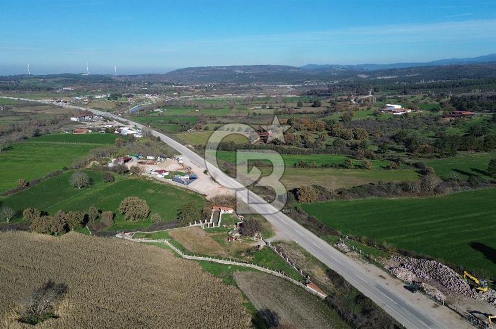 AYVACIK SÖĞÜTLÜ ANAYOLA CEPHE SATILIK 24 DÖNÜM TARLA