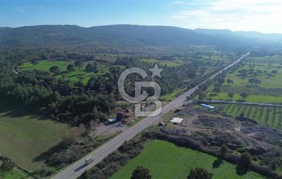 AYVACIK SÖĞÜTLÜDE 19 DÖNÜM ANAYOLA CEPHE SATILIK ARAZİ