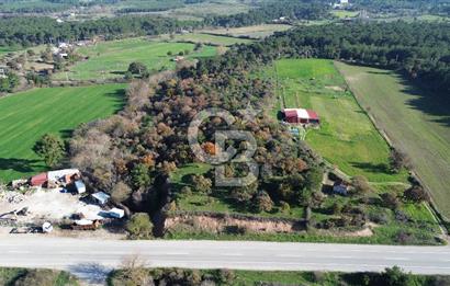 AYVACIK SÖĞÜTLÜ ANAYOLA CEPHE SATILIK 24 DÖNÜM TARLA