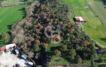 AYVACIK SÖĞÜTLÜ ANAYOLA CEPHE SATILIK 24 DÖNÜM TARLA