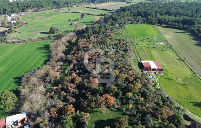 AYVACIK SÖĞÜTLÜ ANAYOLA CEPHE SATILIK 24 DÖNÜM TARLA