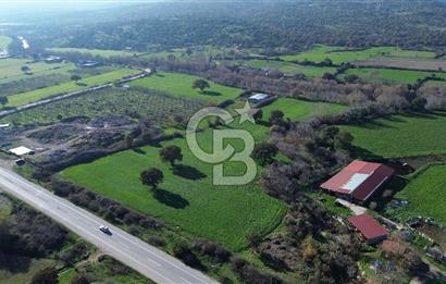 AYVACIK SÖĞÜTLÜDE 19 DÖNÜM ANAYOLA CEPHE SATILIK ARAZİ