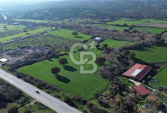 AYVACIK SÖĞÜTLÜDE 19 DÖNÜM ANAYOLA CEPHE SATILIK ARAZİ - 5 - 340067