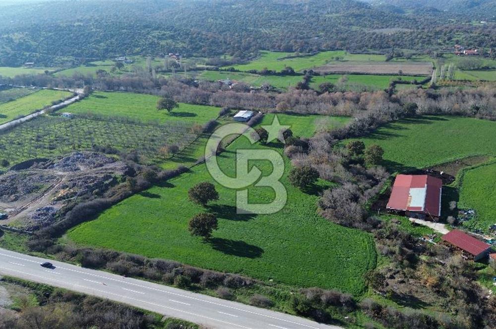 AYVACIK SÖĞÜTLÜDE 19 DÖNÜM ANAYOLA CEPHE SATILIK ARAZİ