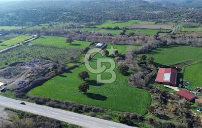 AYVACIK SÖĞÜTLÜDE 19 DÖNÜM ANAYOLA CEPHE SATILIK ARAZİ