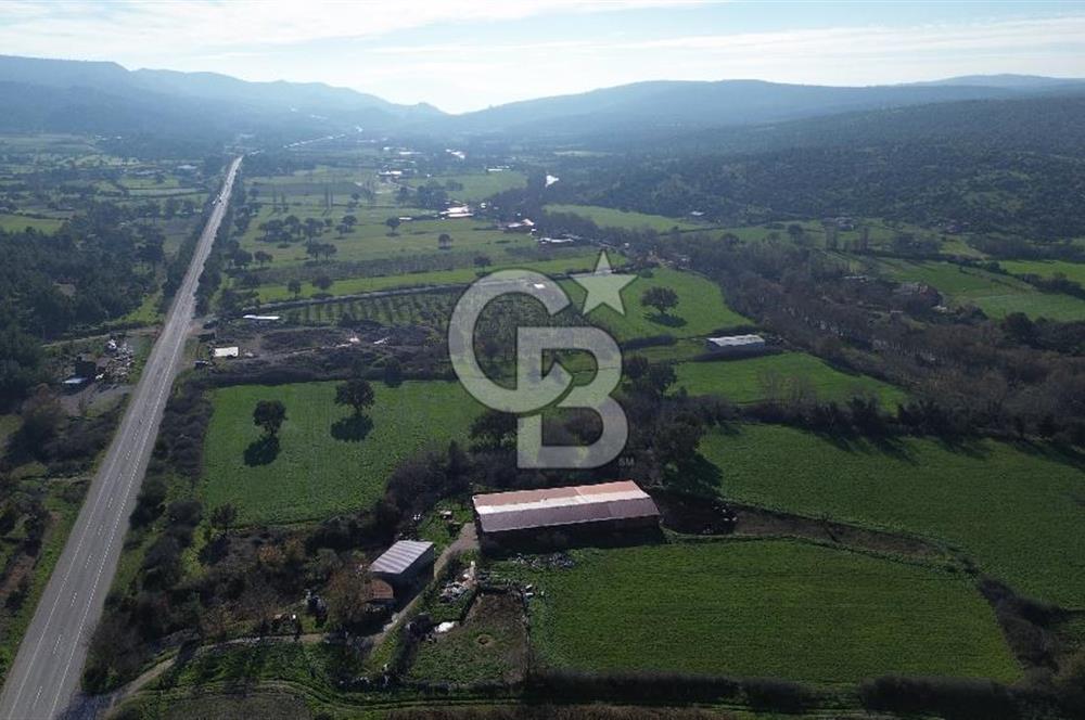 AYVACIK SÖĞÜTLÜDE 19 DÖNÜM ANAYOLA CEPHE SATILIK ARAZİ