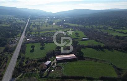 AYVACIK SÖĞÜTLÜDE 19 DÖNÜM ANAYOLA CEPHE SATILIK ARAZİ