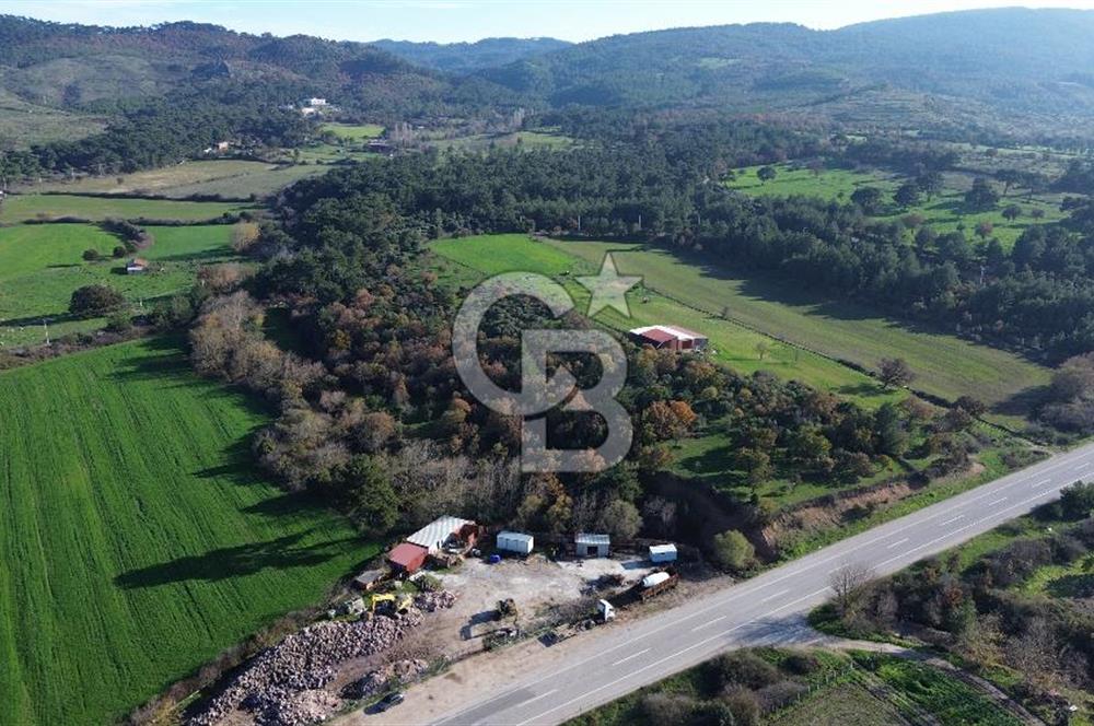 AYVACIK SÖĞÜTLÜ ANAYOLA CEPHE SATILIK 24 DÖNÜM TARLA