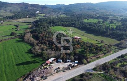 AYVACIK SÖĞÜTLÜ ANAYOLA CEPHE SATILIK 24 DÖNÜM TARLA